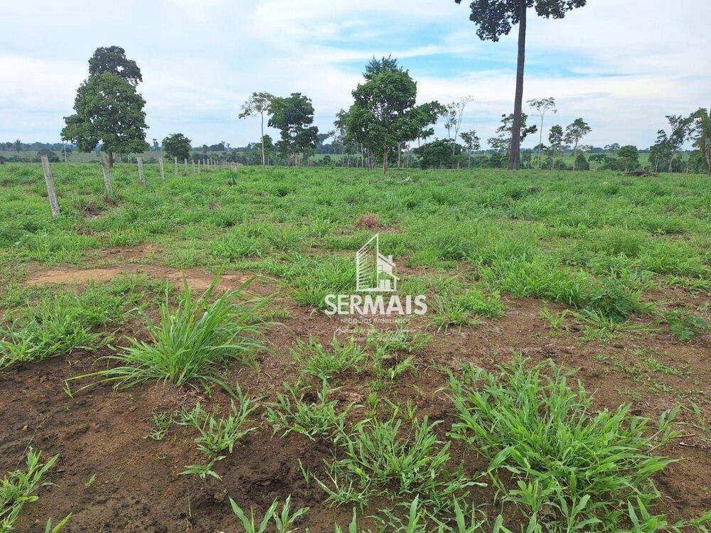 Fazenda, 436 hectares - Foto 1
