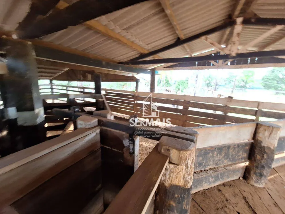 Fazenda, 436 hectares - Foto 11
