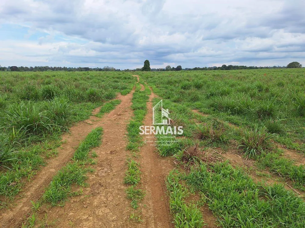 Fazenda, 436 hectares - Foto 13
