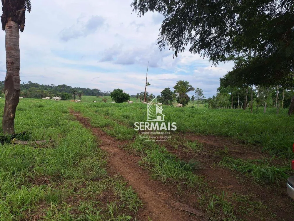 Fazenda, 436 hectares - Foto 15