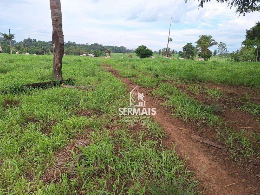 Fazenda, 436 hectares - Foto 4