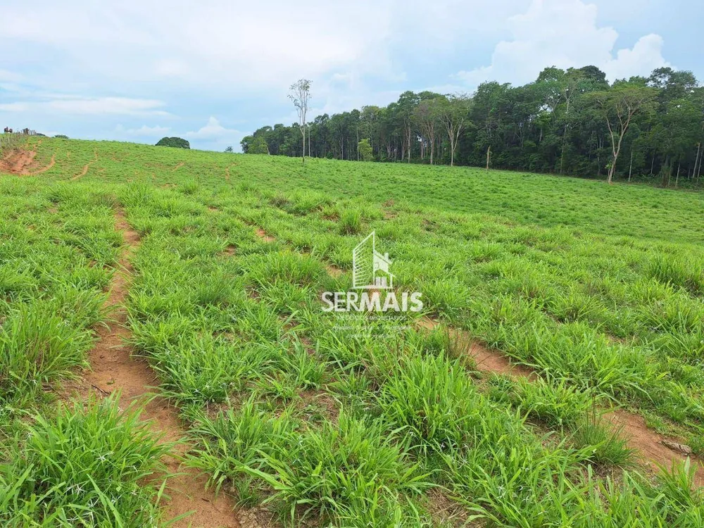 Fazenda, 436 hectares - Foto 10