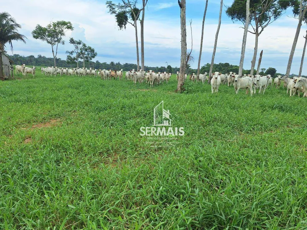 Fazenda, 436 hectares - Foto 7
