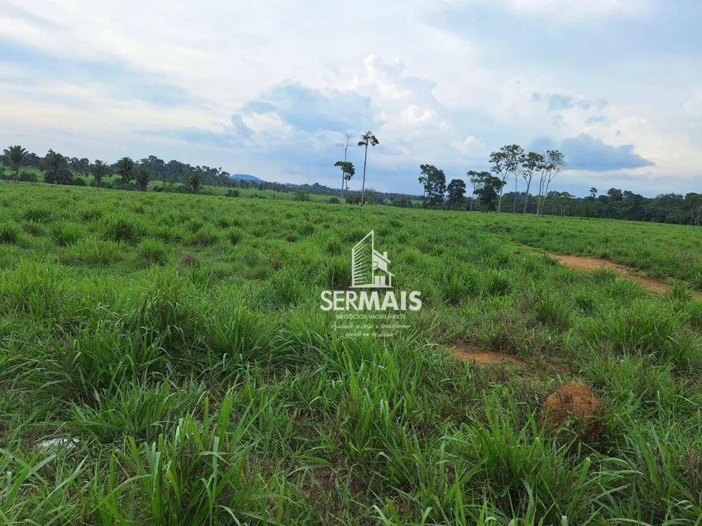 Fazenda, 436 hectares - Foto 14
