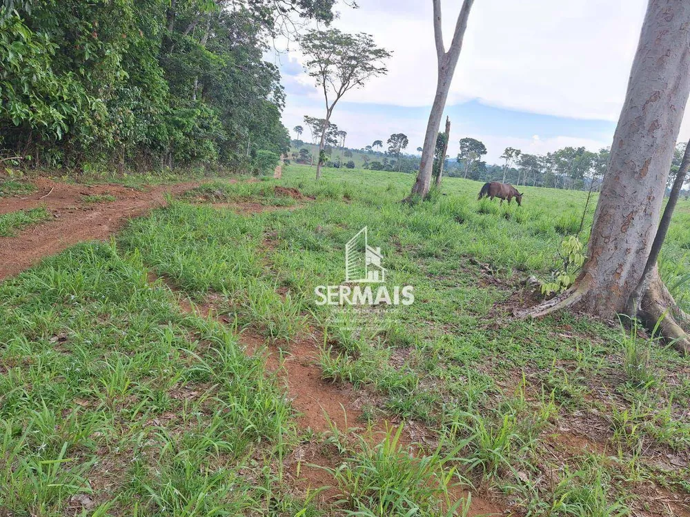 Fazenda, 436 hectares - Foto 1