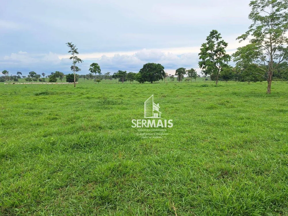 Fazenda, 436 hectares - Foto 8
