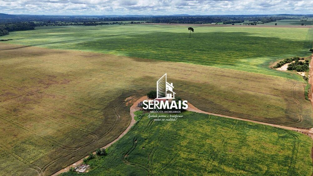 Fazenda, 968 hectares - Foto 4