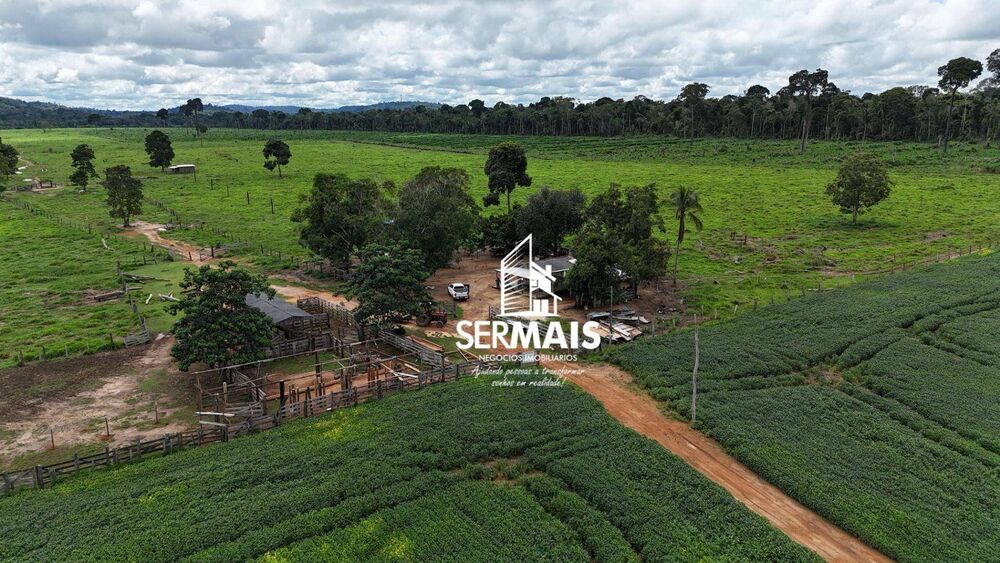 Fazenda, 968 hectares - Foto 7