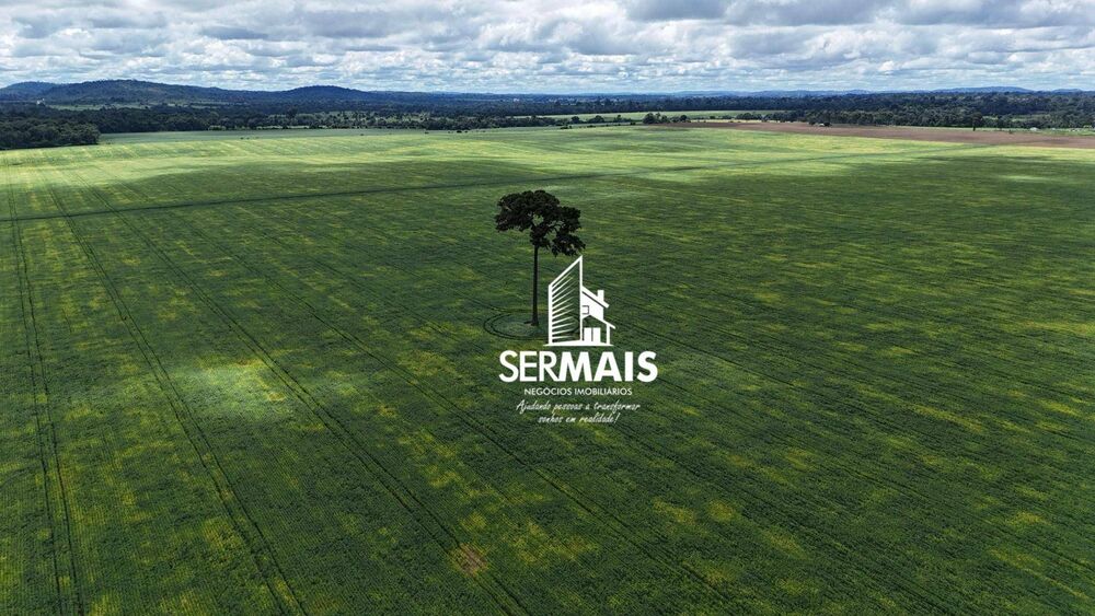 Fazenda, 968 hectares - Foto 3