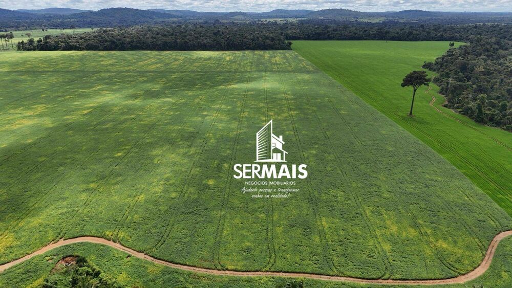 Fazenda, 968 hectares - Foto 9