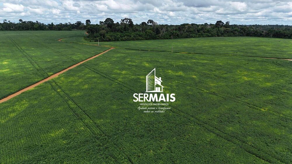 Fazenda, 968 hectares - Foto 8