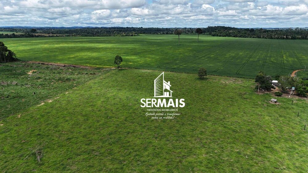 Fazenda, 968 hectares - Foto 10
