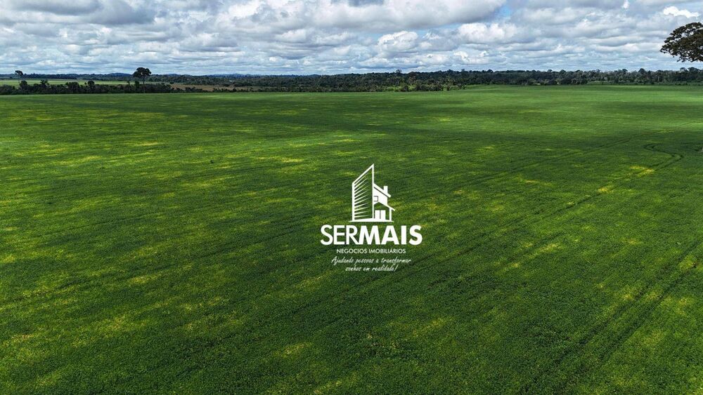 Fazenda, 968 hectares - Foto 6