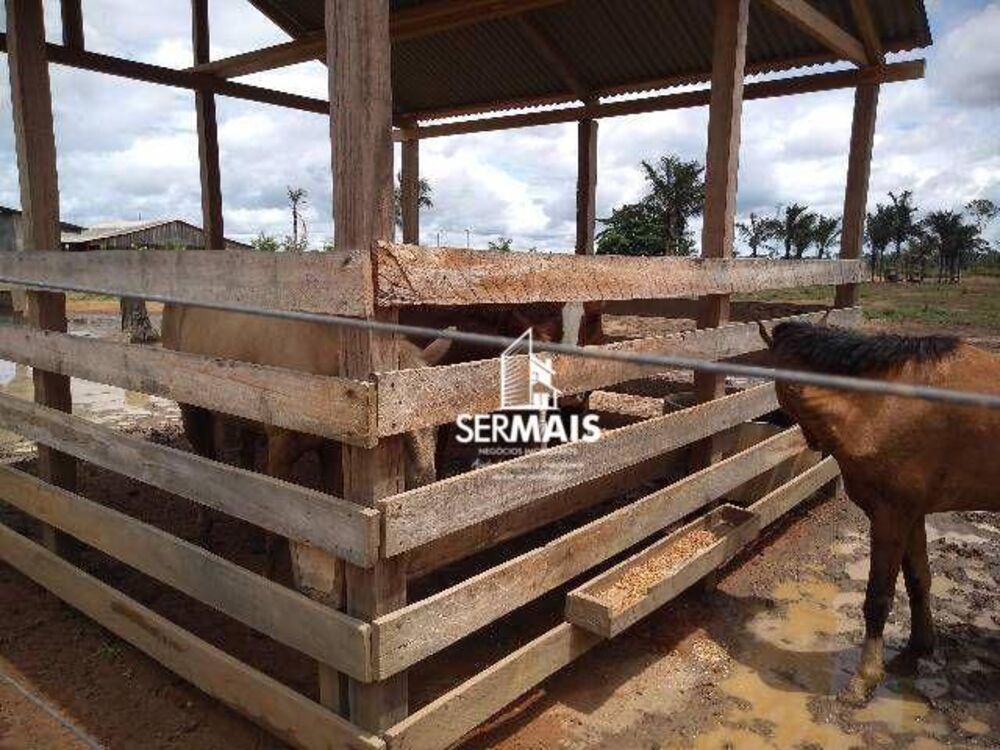 Chácara, 2 hectares - Foto 7