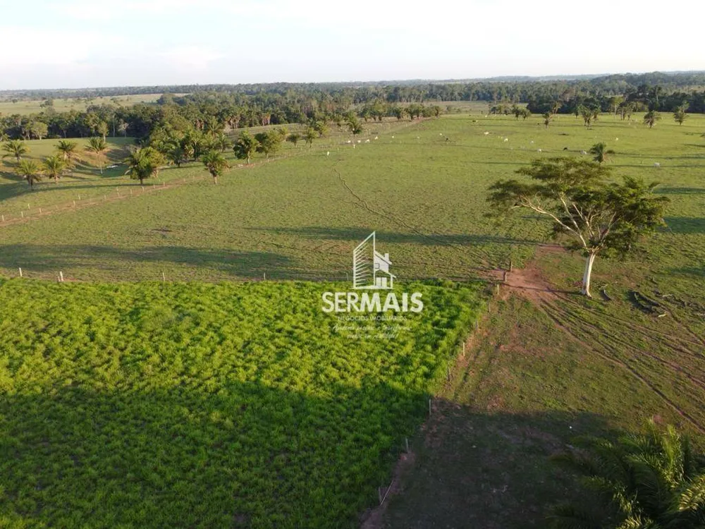 Fazenda, 97 hectares - Foto 4
