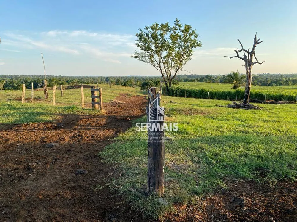 Fazenda, 97 hectares - Foto 8