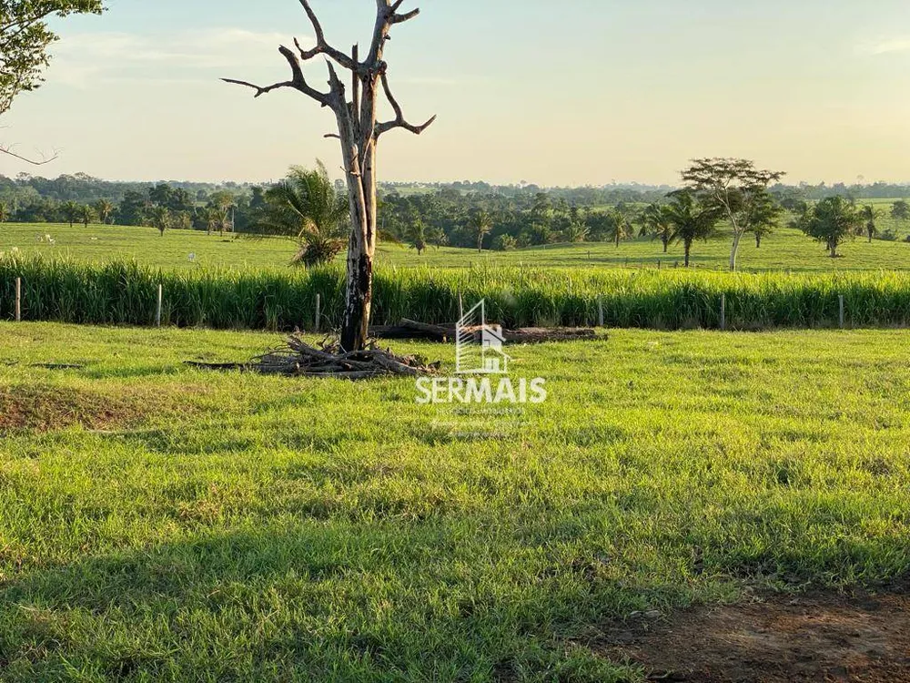 Fazenda, 97 hectares - Foto 7