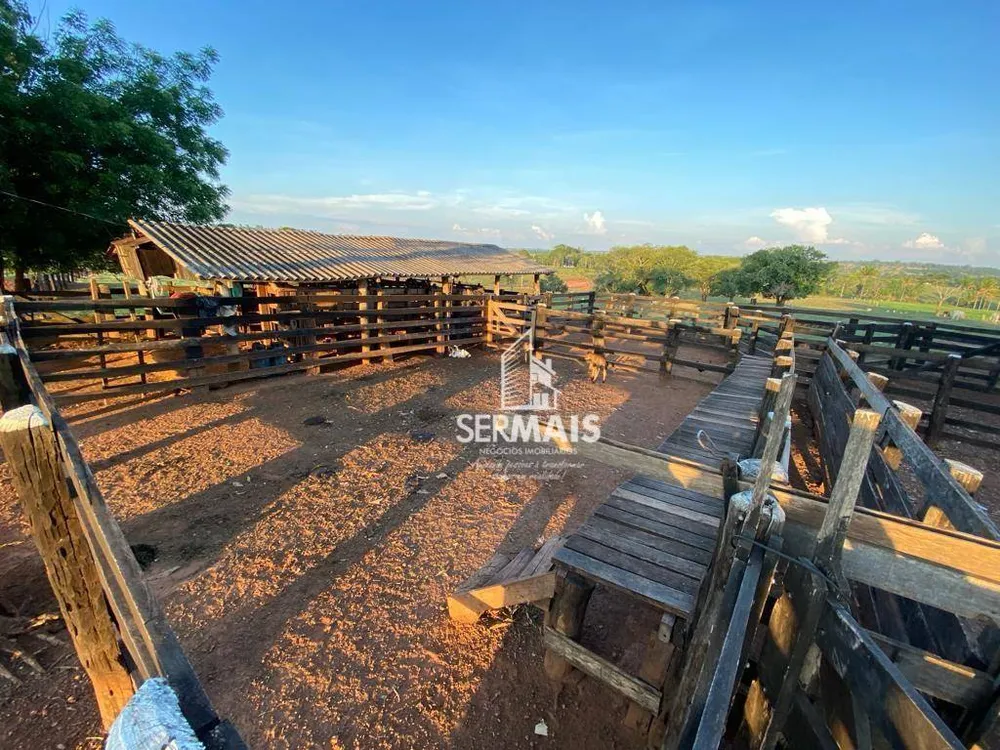 Fazenda, 97 hectares - Foto 9