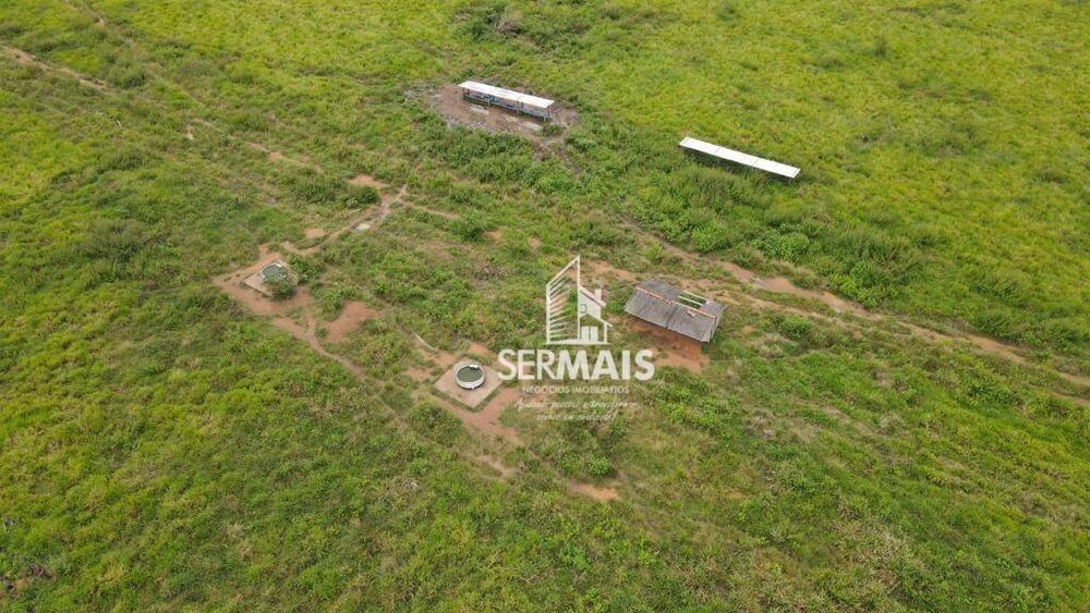 Fazenda-Sítio-Chácara, 350 hectares - Foto 3