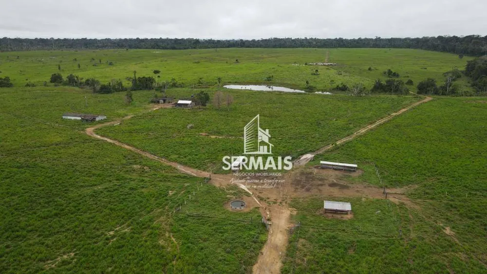 Fazenda, 350 hectares - Foto 10