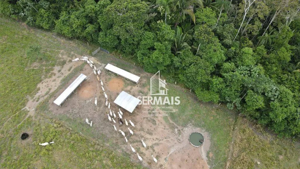 Fazenda, 350 hectares - Foto 6