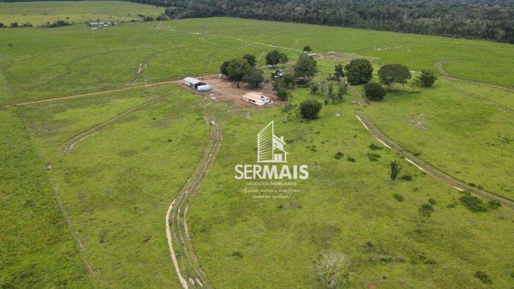 Fazenda-Sítio-Chácara, 350 hectares - Foto 6