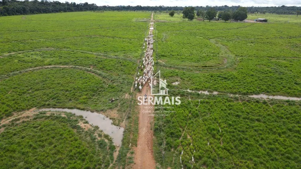 Fazenda, 350 hectares - Foto 12