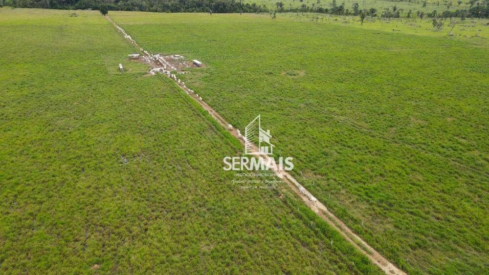 Fazenda-Sítio-Chácara, 350 hectares - Foto 4