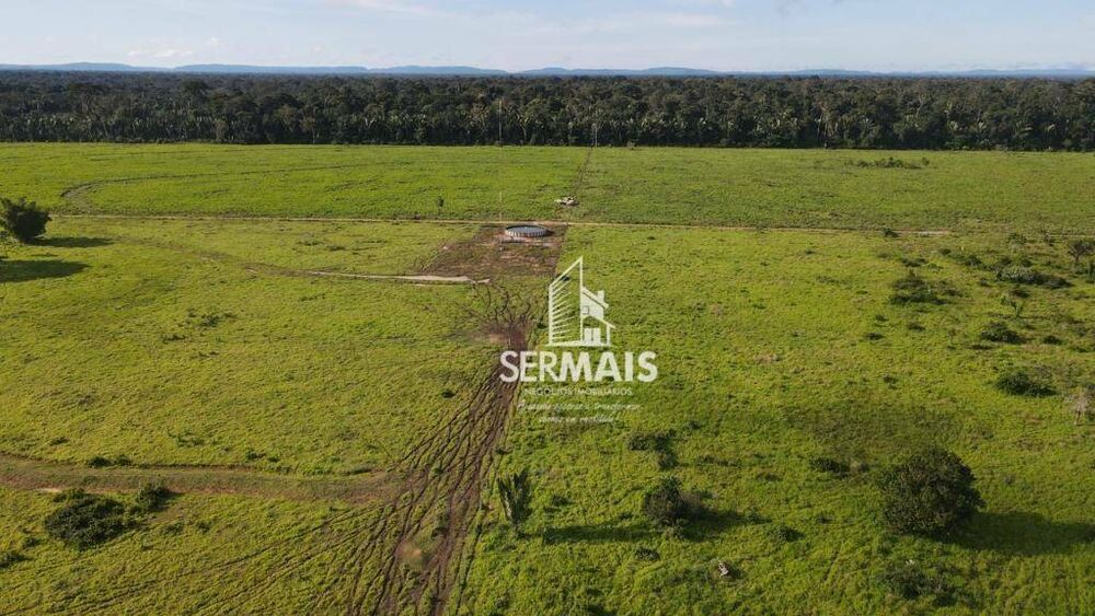 Fazenda-Sítio-Chácara, 350 hectares - Foto 1