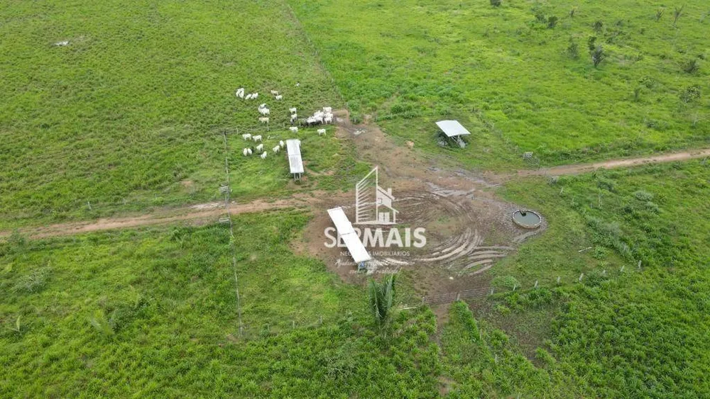 Fazenda, 350 hectares - Foto 12