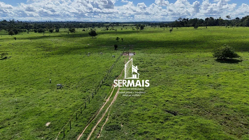 Fazenda, 76 hectares - Foto 5
