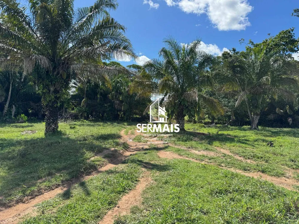 Fazenda, 76 hectares - Foto 8