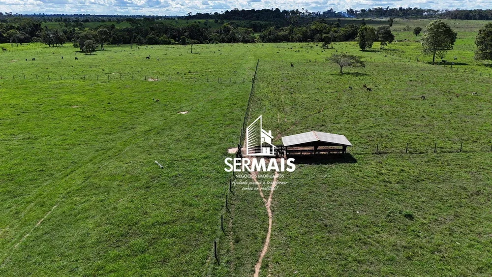 Fazenda, 76 hectares - Foto 6