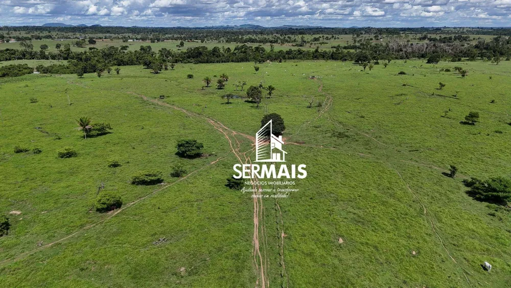 Fazenda, 76 hectares - Foto 8