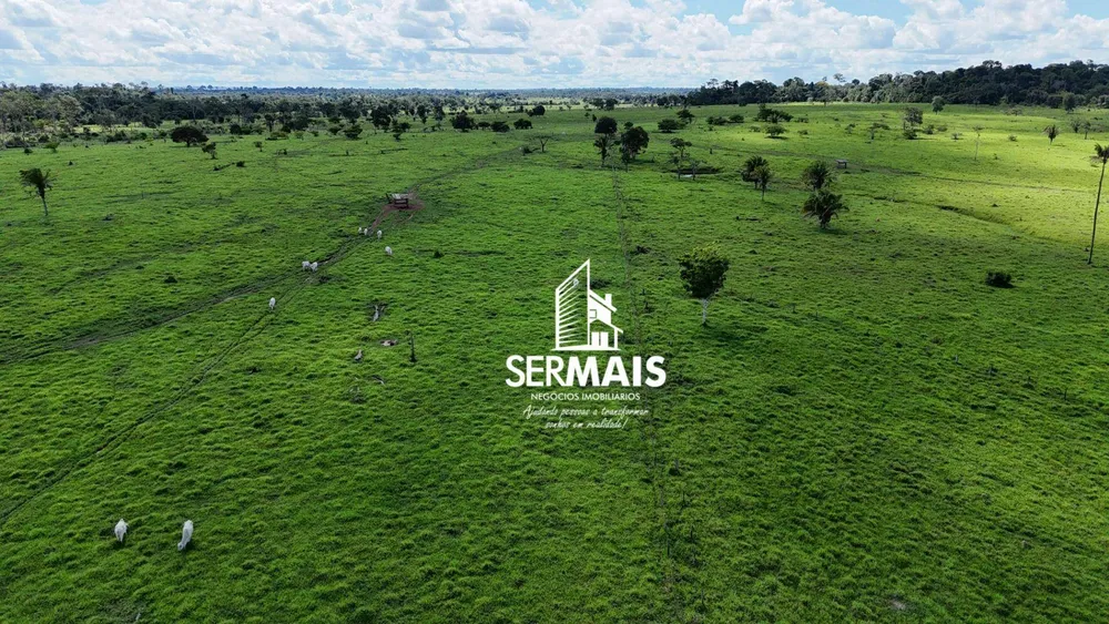 Fazenda, 76 hectares - Foto 7