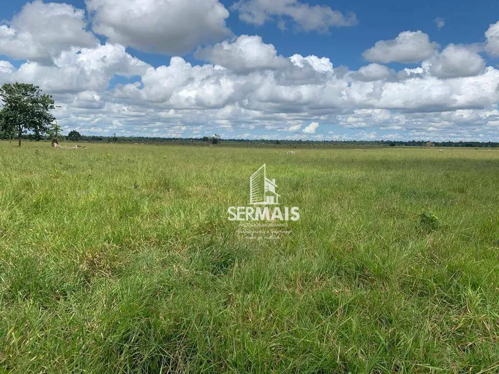 Fazenda, 1319 hectares - Foto 9