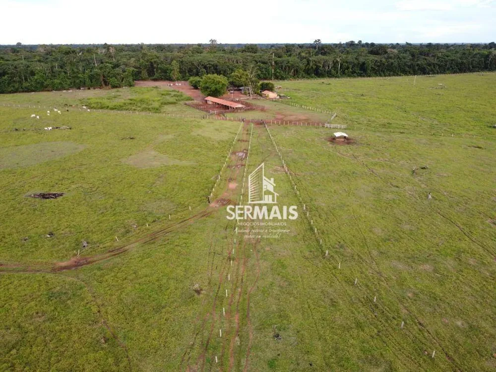 Fazenda, 1319 hectares - Foto 3