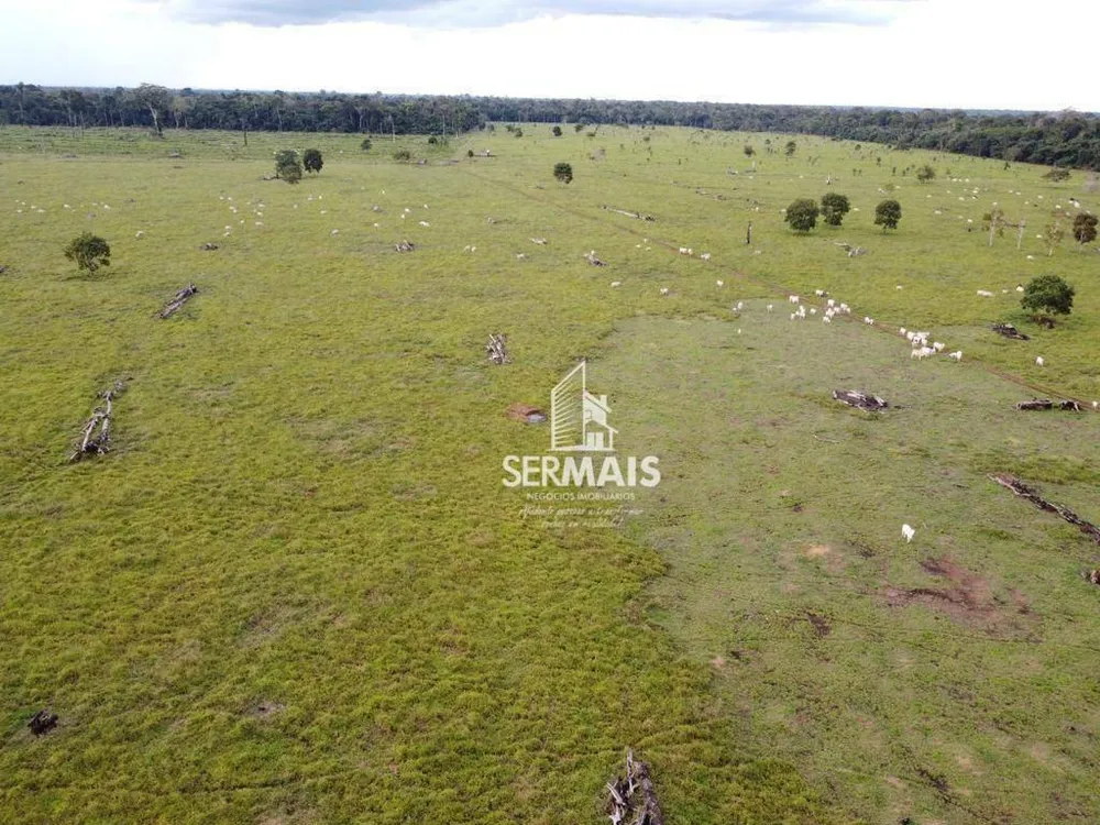 Fazenda, 1319 hectares - Foto 4