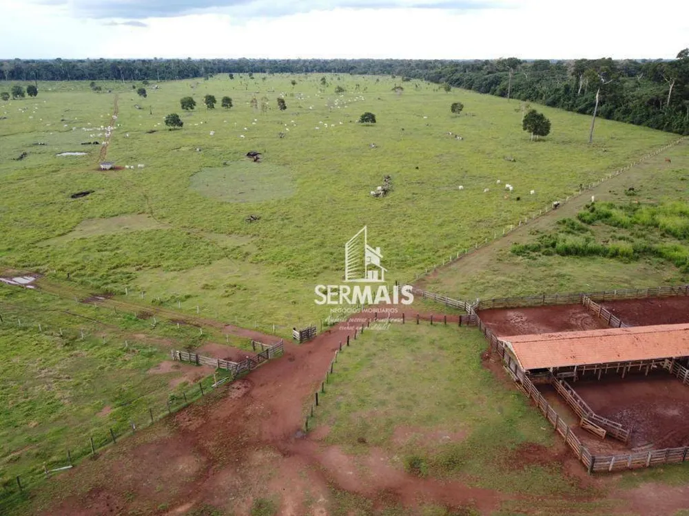 Fazenda, 1319 hectares - Foto 8