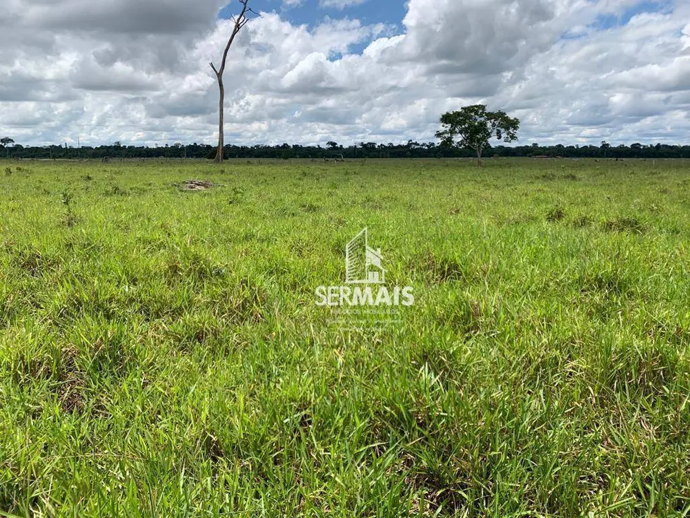 Fazenda, 1319 hectares - Foto 1