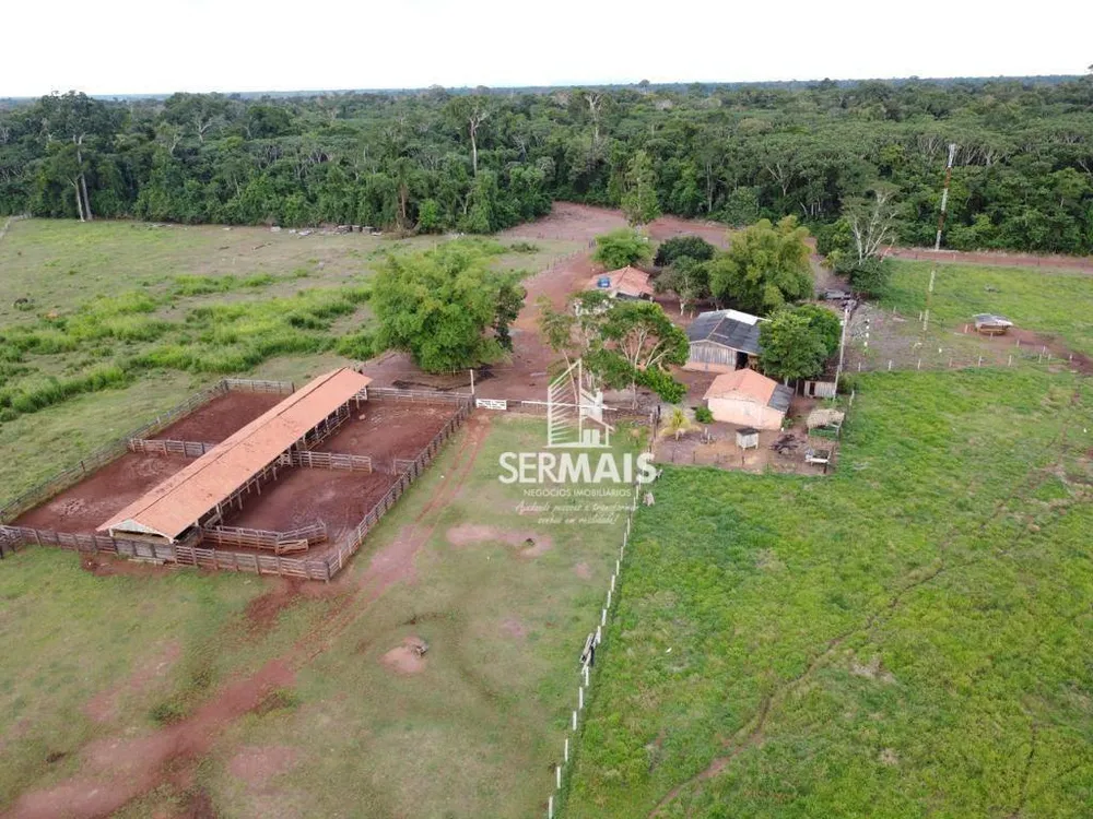 Fazenda, 1319 hectares - Foto 10