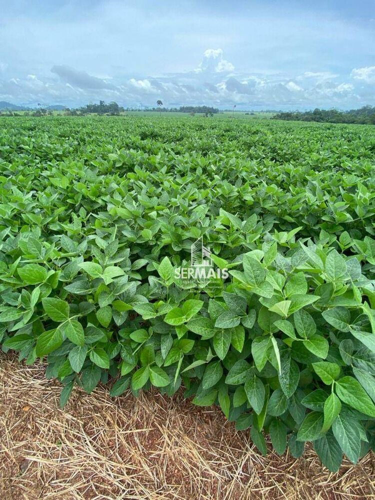 Fazenda, 1434 m² - Foto 4