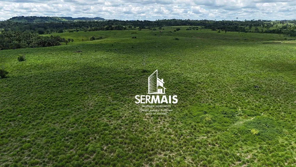Fazenda, 1360 hectares - Foto 9