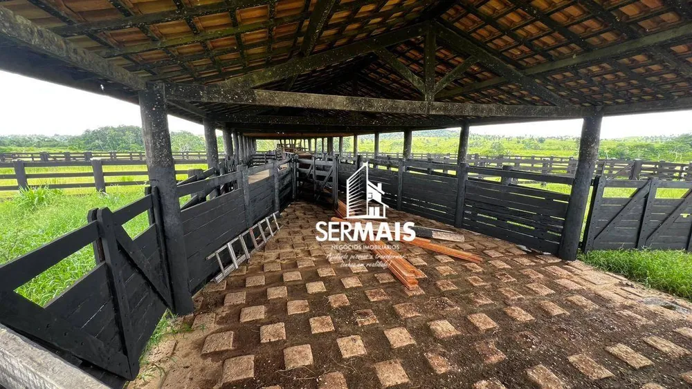Fazenda, 1360 hectares - Foto 13