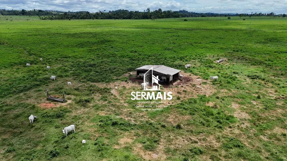 Fazenda, 1360 hectares - Foto 6