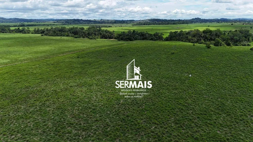 Fazenda, 1360 hectares - Foto 10