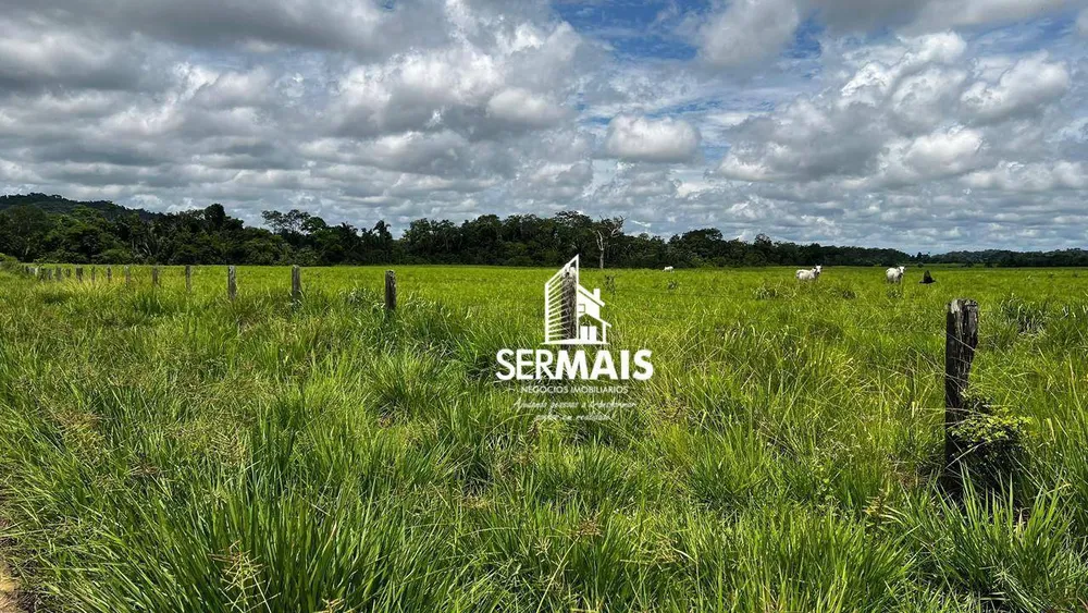 Fazenda, 1360 hectares - Foto 14