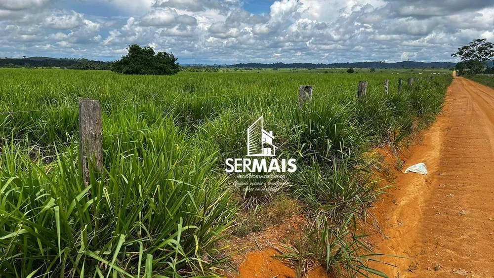 Fazenda, 1360 hectares - Foto 15