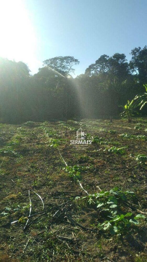 Terreno, 100 hectares - Foto 13
