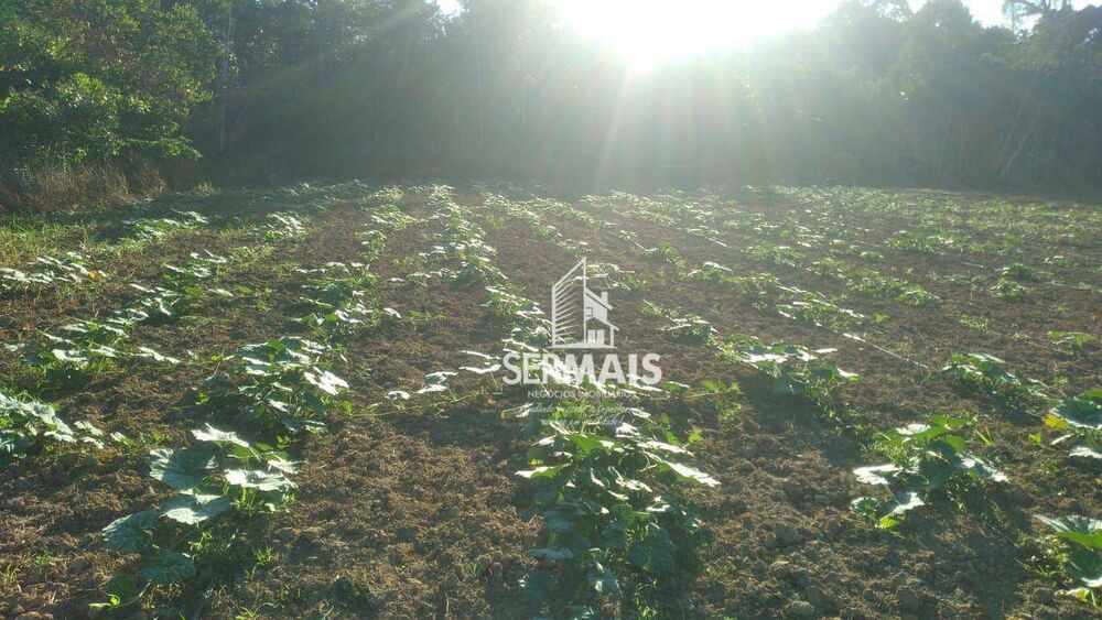 Terreno, 100 hectares - Foto 9